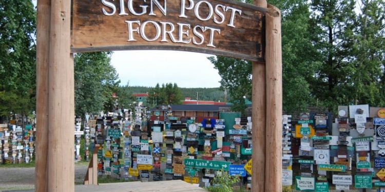 Sign Post Forest in Canada
