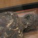 “Soap Woman” at the Mutter Museum in Philadelphia