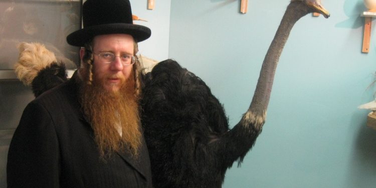 Taxidermy Museum – Torah Animal World, Brooklyn