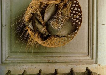 The Last Taxidermist in Paris