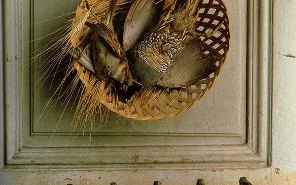 The Last Taxidermist in Paris