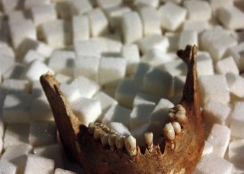 The Neanderthal Museum in Mettman, Germany