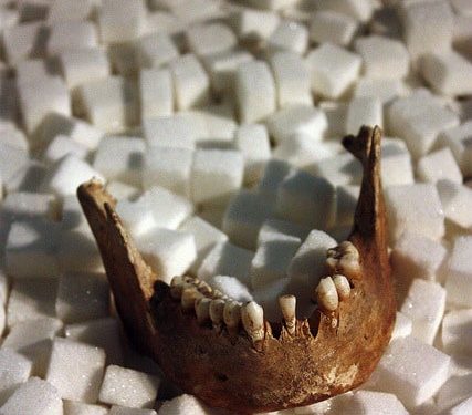 The Neanderthal Museum in Mettman, Germany