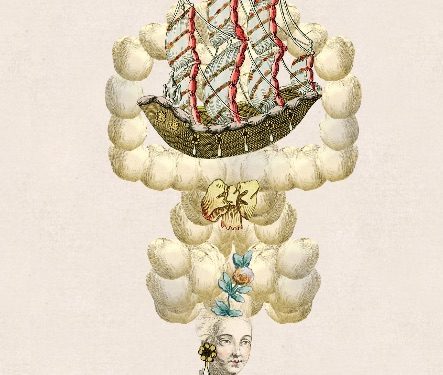 The Term “bigwig” – wig Design