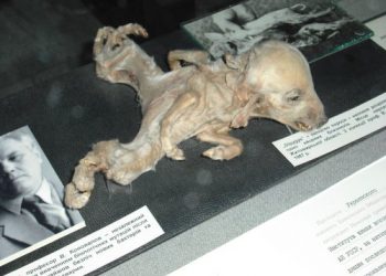 Ukrainian National Chernobyl Museum