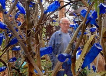 Wade’s Garden in Alabama