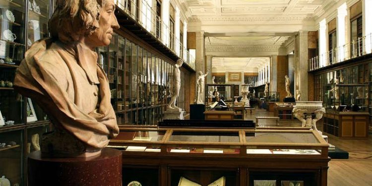 What, exactly, does a museologist do?