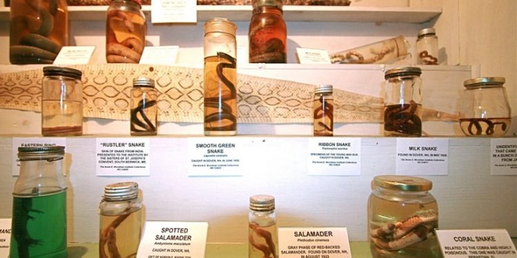 Woodman Institute Museum, New Hampshir