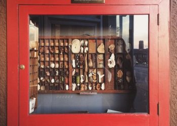 Workhorse Coffee Bar is “The Smallest Museum in St. Paul”