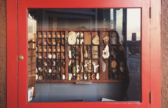 Workhorse Coffee Bar is “The Smallest Museum in St. Paul”