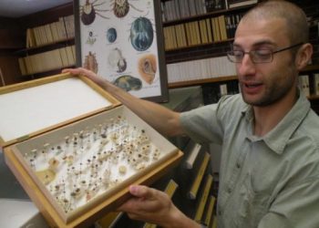 World’s Largest Tick Collection, Georgia