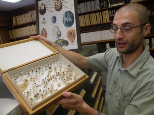 World’s Largest Tick Collection, Georgia