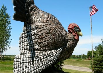 World’s Largest Turkey in Frazee, Minnesota